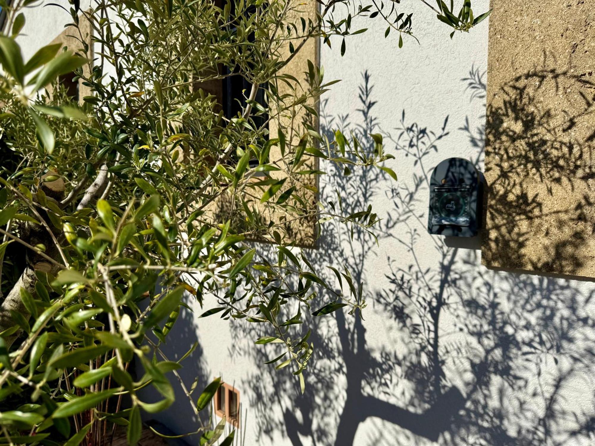 Une Nuit En Luberon Puyvert Eksteriør billede